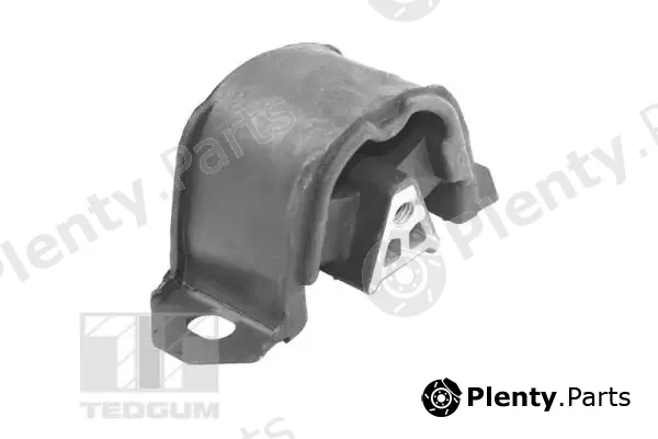 Tedgum 00162110 — Mounting, engine