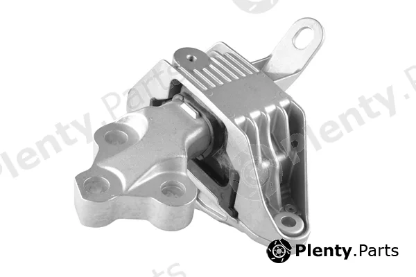 Tedgum TED89067 — Mounting, engine