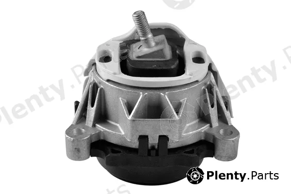 Tedgum TED68180 — Mounting, engine
