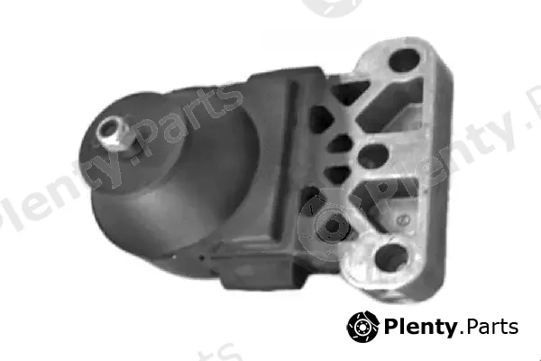 Tedgum TED49581 — Mounting, engine