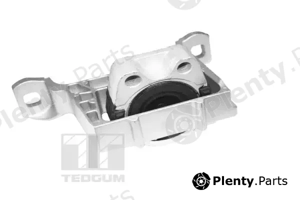 Tedgum TED12824 — Mounting, engine