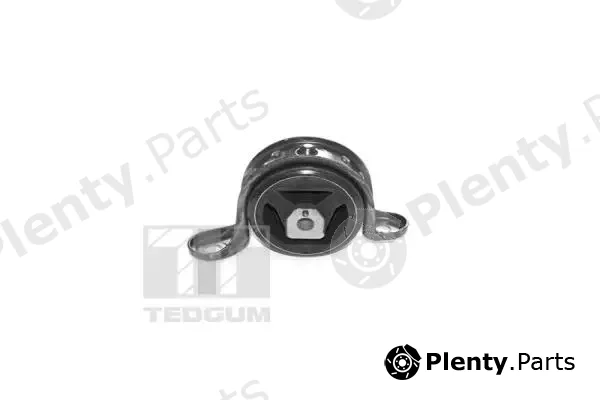Tedgum 00500611 — Mounting, engine