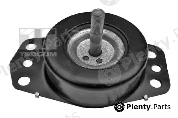Tedgum 00505737 — Mounting, engine