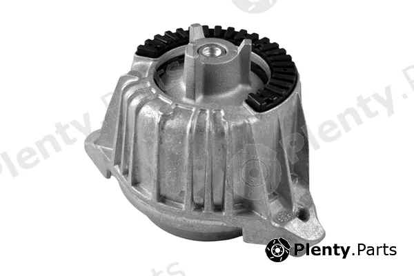 Tedgum TED53841 — Mounting, engine