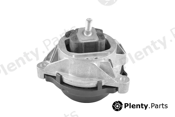 Tedgum TED28314 — Mounting, engine