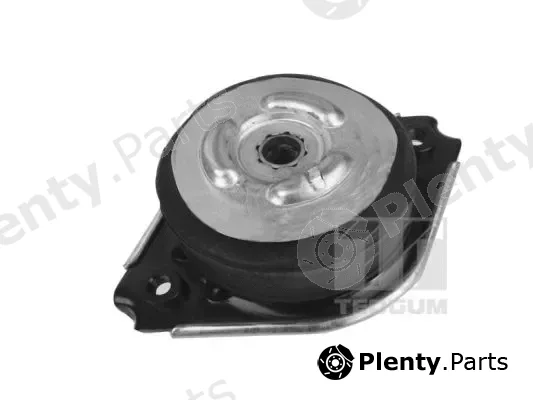 Tedgum 00418536 — Mounting, engine