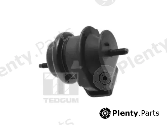 Tedgum TED95509 — Mounting, engine
