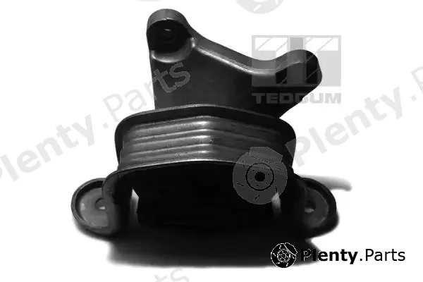Tedgum 00725744 — Mounting, automatic transmission support