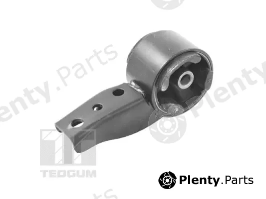 Tedgum 00461458 — Mounting, engine