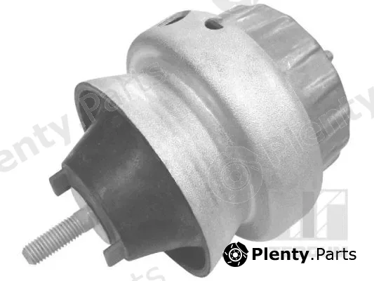 Tedgum 00056451 — Mounting, engine