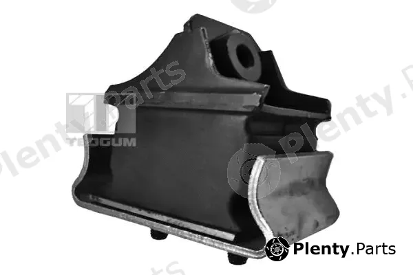 Tedgum 00416326 — Mounting, engine