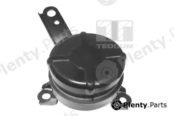 Tedgum 00672451 — Mounting, engine