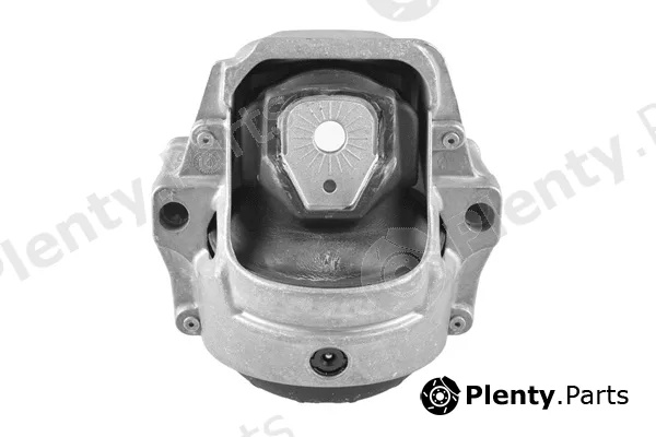 Tedgum TED97738 — Mounting, engine