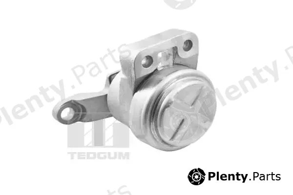 Tedgum TED36070 — Mounting, engine