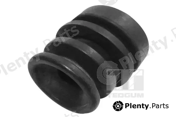 Tedgum 00392140 — Mounting, engine