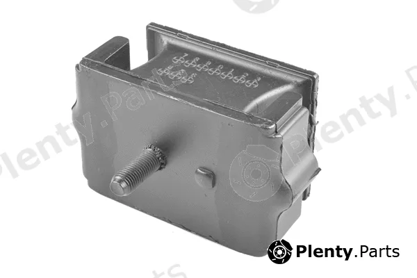 Tedgum TED41301 — Mounting, engine