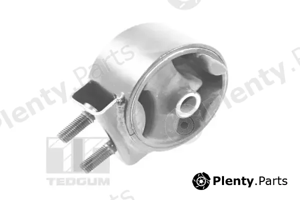 Tedgum TED75649 — Mounting, engine