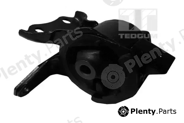 Tedgum 00391336 — Mounting, engine