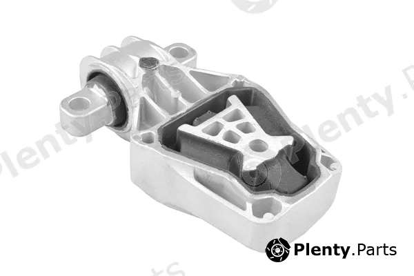 Tedgum TED44571 — Mounting, engine
