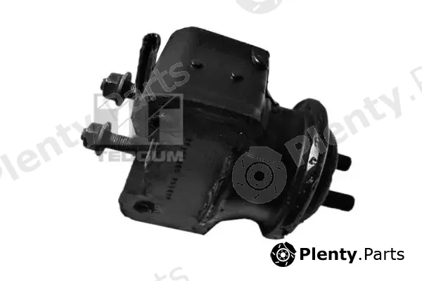 Tedgum 00395114 — Mounting, engine
