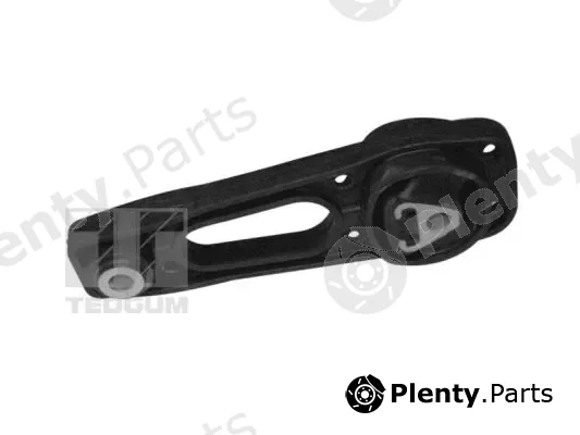 Tedgum 00159836 — Mounting, engine