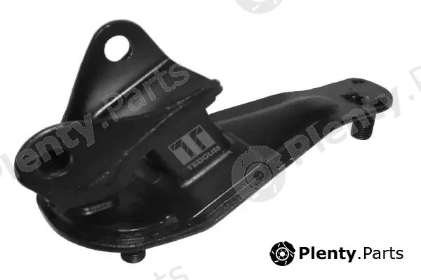Tedgum 00260929 — Mounting, engine