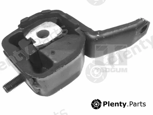 Tedgum 00221098 — Mounting, engine