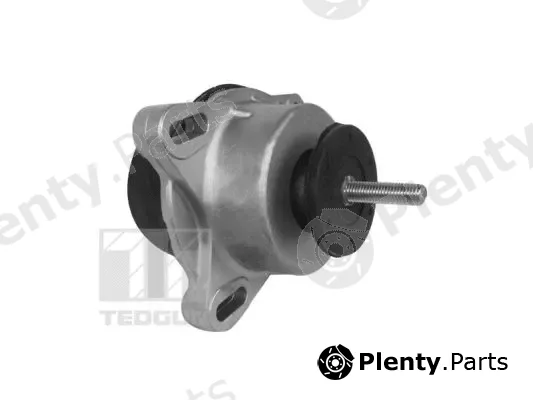 Tedgum 00228940 — Mounting, engine
