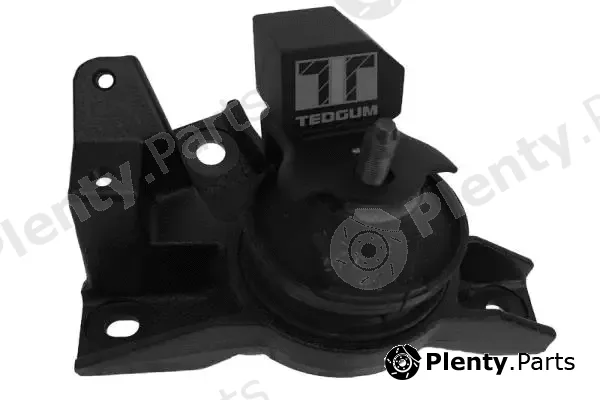 Tedgum 00282459 — Mounting, engine