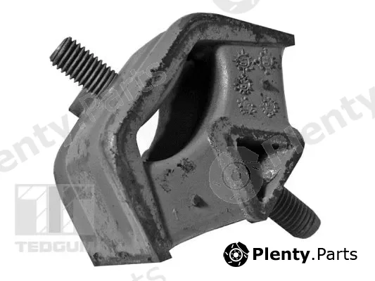 Tedgum 00080577 — Mounting, engine