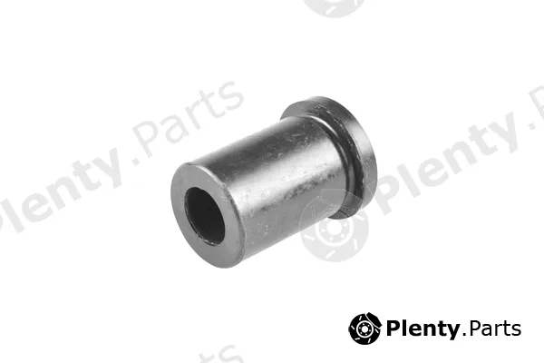 Tedgum 00463417 — Mounting, leaf spring