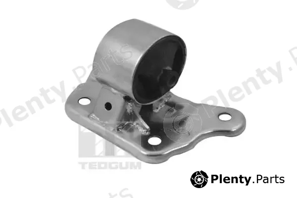 Tedgum TED40146 — Mounting, engine