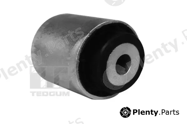 Tedgum 00219058 — Mounting, control/trailing arm