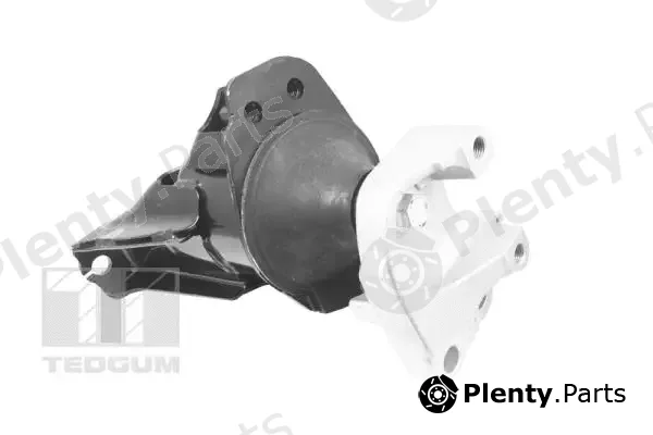 Tedgum TED49865 — Mounting, engine