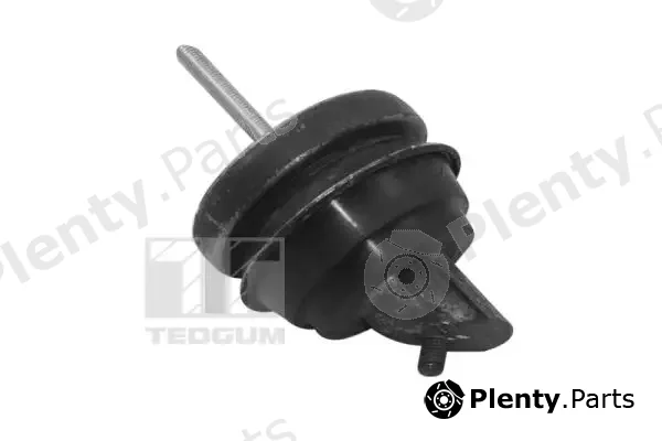 Tedgum TED11497 — Mounting, engine