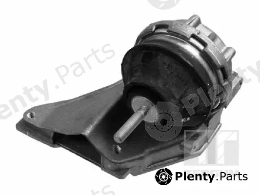 Tedgum 00055597 — Mounting, engine