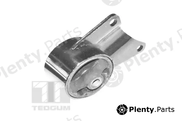 Tedgum 00392587 — Mounting, engine