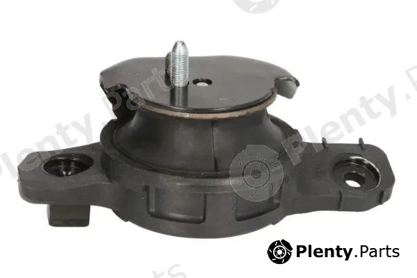 Tedgum 00649871 — Mounting, engine