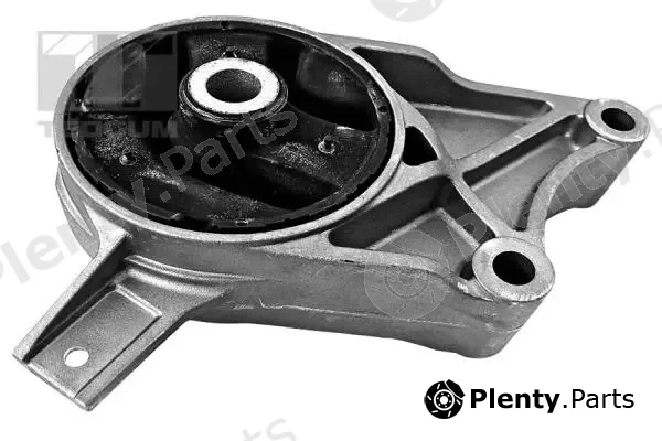 Tedgum 00500192 — Mounting, engine