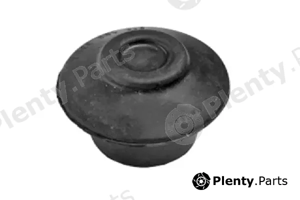 Tedgum 00729193 — Mounting, engine