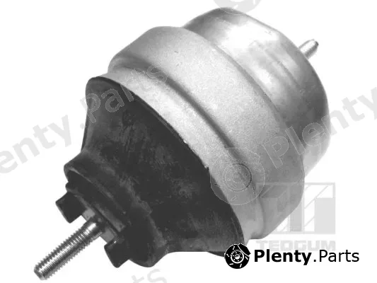 Tedgum 00056418 — Mounting, engine