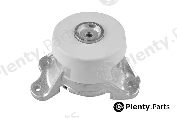 Tedgum TED49389 — Mounting, engine