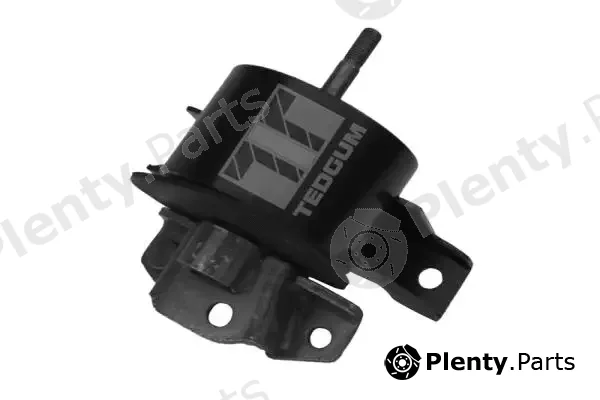 Tedgum 00466064 — Mounting, engine