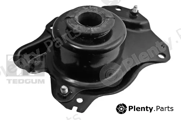 Tedgum 00727579 — Mounting, engine