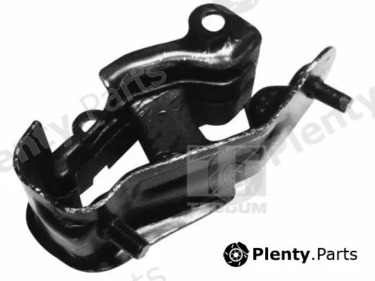 Tedgum 00263062 — Mounting, engine