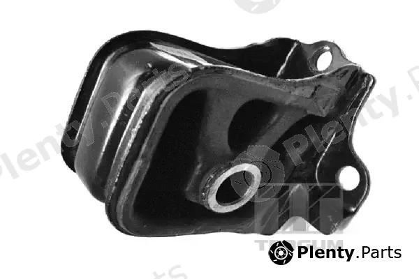 Tedgum 00266477 — Mounting, engine