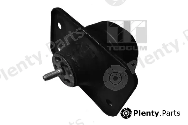 Tedgum 00167968 — Mounting, engine