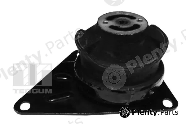 Tedgum 00723888 — Mounting, engine