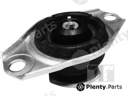 Tedgum 00025995 — Mounting, engine