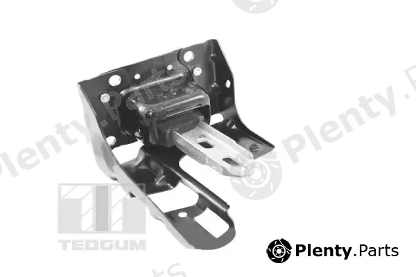 Tedgum TED46367 — Mounting, engine